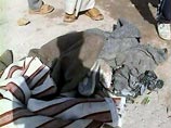 ВВС США нанесли удар по Фаллудже - 11 иракцев погибли ВВС США нанесли удар по Фаллудже - 11 иракцев погибли