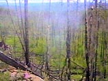 Очередная экспедиция отправилась в пятницу из Красноярска в Эвенкию, чтобы попытаться разгадать истинную природу явления, широко известного под названием "Тунгусский метеорит" Очередная экспедиция отправилась в пятницу из Красноярска в Эвенкию, чтобы попытаться разгадать истинную природу явления, широко известного под названием "Тунгусский метеорит"