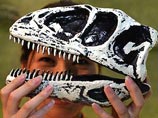 Выставка под названием "Мир динозавров", демонстрирующая уникальные находки палеонтологов в различных районах Азии, открылась в Японии