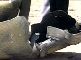 . Как сообщил катарский спутниковый телеканал Al-Jazeera, кассетные бомбы были сброшены на квартал Эль-Аскари
