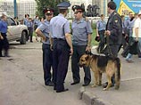 В Волжском задержан мужчина со снарядом в дамской сумочке