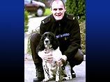 В Великобритании полицейская ищейка скончалась от передозировки (ФОТО)