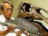 В Японии найден полный скелет 10-метрового динозавра