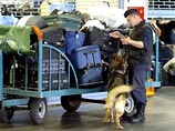 В пресс-службе "Домодедово" утверждают, что "производится 100-процентное сканирование багажа, тщательный контроль проходят сами пассажиры и ручная кладь"