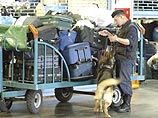 В связи с терактами в России в США усилены меры безопасности В связи с терактами в России в США усилены меры безопасности