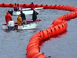 На Сахалине из-за крушения судна разлилась нефть: для восстановления региона понадобится 5-6 лет На Сахалине из-за крушения судна разлилась нефть: для восстановления региона понадобится 5-6 лет