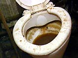 В Испании 100 детей отправились в туалет мэрии, чтобы заставить власти отремонтировать канализацию в школе