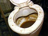 В Испании 100 детей отправились в туалет мэрии, чтобы заставить власти отремонтировать канализацию в школе В Испании 100 детей отправились в туалет мэрии, чтобы заставить власти отремонтировать канализацию в школе