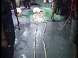 Кальмар длиной 12 метров пойман в Австралии