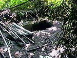 В Шелковском районе Чечни обнаружены временные лагеря боевиков В Шелковском районе Чечни обнаружены временные лагеря боевиков