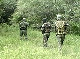 Спецоперация в Ножай-Юртовском районе Чечни будет продолжена до полной ликвидации блокированной в лесном массиве группировки