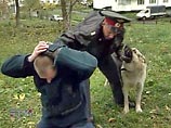В Минусинске двух офицеров милиции поймали на торговле наркотиками В Минусинске двух офицеров милиции поймали на торговле наркотиками