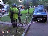 Начальник МУРа: инцидент с Пуманэ - яркий пример хорошей работы оперативников Начальник МУРа: инцидент с Пуманэ - яркий пример хорошей работы оперативников