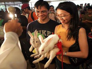 В филиппинской церкви благословили животных в день памяти Франциска Ассизского