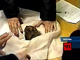 В Москве у директора благотворительного фонда похищен сапфир весом 2 кг