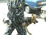 Работа одного из рынков Казани была остановлена из-за странных звуков в машине Работа одного из рынков Казани была остановлена из-за странных звуков в машине