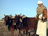 Населению грозит голод, и уже 3 млн. человек находятся в крайне тяжелом положении, заявил представитель Всемирной продовольственной программы ООН Кристиан Бертиом Населению грозит голод, и уже 3 млн. человек находятся в крайне тяжелом положении, заявил представитель Всемирной продовольственной программы ООН Кристиан Бертиом