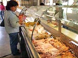 Правительство Перу намерено начать экспорт съедобных морских свинок