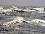 Последний выпуск доклада WWF Lonely Planet Report показывает, что численность популяций земных и морских видов с 1970 по 2000 год сократилась на 30%, в то время как популяции, обитающие в пресной воде, сократились на 50% Последний выпуск доклада WWF Lonely Planet Report показывает, что численность популяций земных и морских видов с 1970 по 2000 год сократилась на 30%, в то время как популяции, обитающие в пресной воде, сократились на 50%