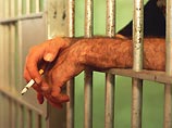 В Пакистане теперь будут наказывать мужей, которые убивают жен за измену В Пакистане теперь будут наказывать мужей, которые убивают жен за измену
