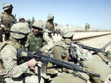 США готовы к штурму Эль-Фаллуджи, чтобы захватить Абу Мусаба аз-Заркави