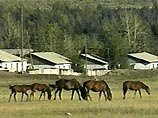 1 июня 2004 года четверо монголов, в числе которых был и осужденный, верхом на лошадях нарушили государственную границу России и, углубившись на территории Эрзинского района Тувы примерно на 20 километров, попытались похитить табун из 18 лошадей