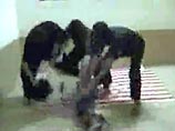 На видео, выложенном на одном из исламистских сайтов, показано как одетый в черное боевик отрезает молодому японцу голову. Заложник Сиосэй Кода в момент казни лежит на американском флаге