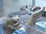 Через пять лет врачам больше не понадобятся доноры, утверждают ученые Через пять лет врачам больше не понадобятся доноры, утверждают ученые