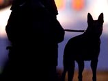 МВД РФ для создания банка запахов преступников будет использовать собак