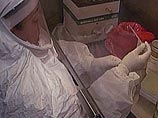 Сибирская язва скосила двух животных на финской ферме Сибирская язва скосила двух животных на финской ферме