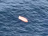 Двух моряков в гидрокостюмах обнаружили в понедельник авиаторы в районе поисков затонувших судов "Ароса" и West. В точку, где они обнаружены, вылетел вертолет Ми-8, сообщили в региональном центре МЧС
