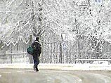 В четверг в Москве ожидается метель, а в пятницу - снегопад, сообщили в Росгидромете