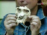 Окаменелые останки, найденные близ испанского города Барселоны, принадлежат, вероятно, последнему виду обезьян, от которого произошли как крупные человекообразные обезьяны, так и современный человек