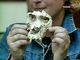 Окаменелые останки, найденные близ испанского города Барселоны, принадлежат, вероятно, последнему виду обезьян, от которого произошли как крупные человекообразные обезьяны, так и современный человек Окаменелые останки, найденные близ испанского города Барселоны, принадлежат, вероятно, последнему виду обезьян, от которого произошли как крупные человекообразные обезьяны, так и современный человек
