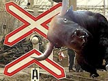 Разъяренный бык атаковал двигающийся поезд в Читинской области Разъяренный бык атаковал двигающийся поезд в Читинской области