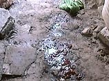 Очевидцы называют произошедшее настоящей кровавой бойней. Трагедия произошла неподалеку от города Шерат Очевидцы называют произошедшее настоящей кровавой бойней. Трагедия произошла неподалеку от города Шерат