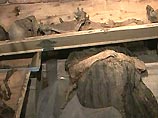 Исследуя фундамент католического собора святой Терезы, строители обнаружили захоронения двухсотлетней давности