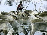 Предприятия ЮКОСа лишат права пользования 11 земельными участками на Ямале Предприятия ЮКОСа лишат права пользования 11 земельными участками на Ямале