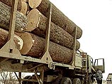 Незаконных рубщиков российских лесов будут ловить с помощью съемки из космоса Незаконных рубщиков российских лесов будут ловить с помощью съемки из космоса