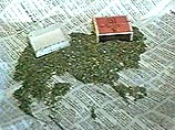 Столичные наркополицейские ликвидировали канал поставок марихуаны с Украины Столичные наркополицейские ликвидировали канал поставок марихуаны с Украины