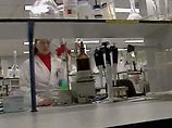 New Scientist: физкультура может быть очень опасна для здоровья New Scientist: физкультура может быть очень опасна для здоровья