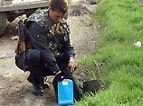 В Грозненском районе Чечни найдены тела трех расстрелянных мужчин
