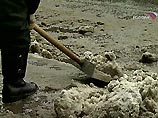 В Москве целый день будет идти дождь В Москве целый день будет идти дождь