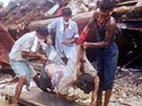 В Индии поезд столкнулся с джипом: 5 погибших В Индии поезд столкнулся с джипом: 5 погибших