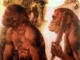 Американские ученые считают, что человеческий язык появился из детского лепета Американские ученые считают, что человеческий язык появился из детского лепета