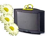Австралиец женился на широэкранном телевизоре Sony Австралиец женился на широэкранном телевизоре Sony