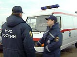 По информации из Новгородского управления МЧС, один из грузовиков принадлежал Санкт-Петербургскому дельфинарию и перевозил громадный аквариум с двумя дельфинами. При столкновении автомобилей аквариум опрокинулся на проезжую часть и разбился По информации из Новгородского управления МЧС, один из грузовиков принадлежал Санкт-Петербургскому дельфинарию и перевозил громадный аквариум с двумя дельфинами. При столкновении автомобилей аквариум опрокинулся на проезжую часть и разбился