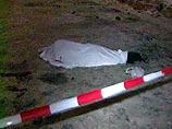 В центре Новосибирска в одном из жилых дворов вечером 24 декабря двумя выстрелами из пистолета убит председатель федерации футбола Новосибирской области Владимир Валеев