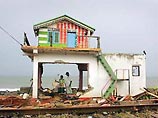 Власти Шри-Ланки и представители местных природоохранных организаций в недоумении: после страшного стихийного бедствия, обрушившегося на побережье Индийского океана, не осталось никаких следов животных