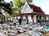 Жертв при цунами в Азии можно было избежать, но к специалистам не прислушались